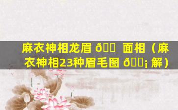 麻衣神相龙眉 🐠 面相（麻衣神相23种眉毛图 🐡 解）